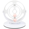 Cat Turntable Educational Toys