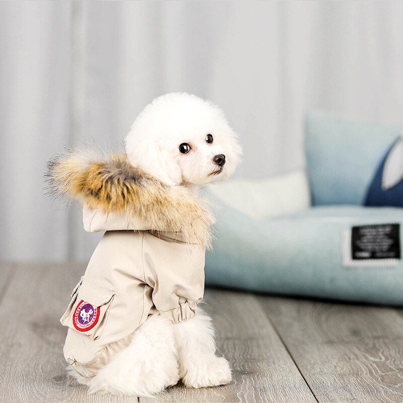 Dog Jacket Wool Hat Cotton Clothes