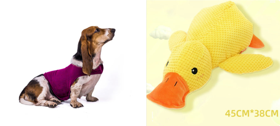 Anxiety Vest Summer Medical Treatment Jacket To Calm Down Dog Comfort Clothes