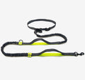 Double Elastic Handfree Dog Leash