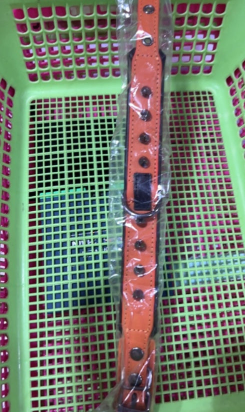 Leather Dog Collar with Spikes