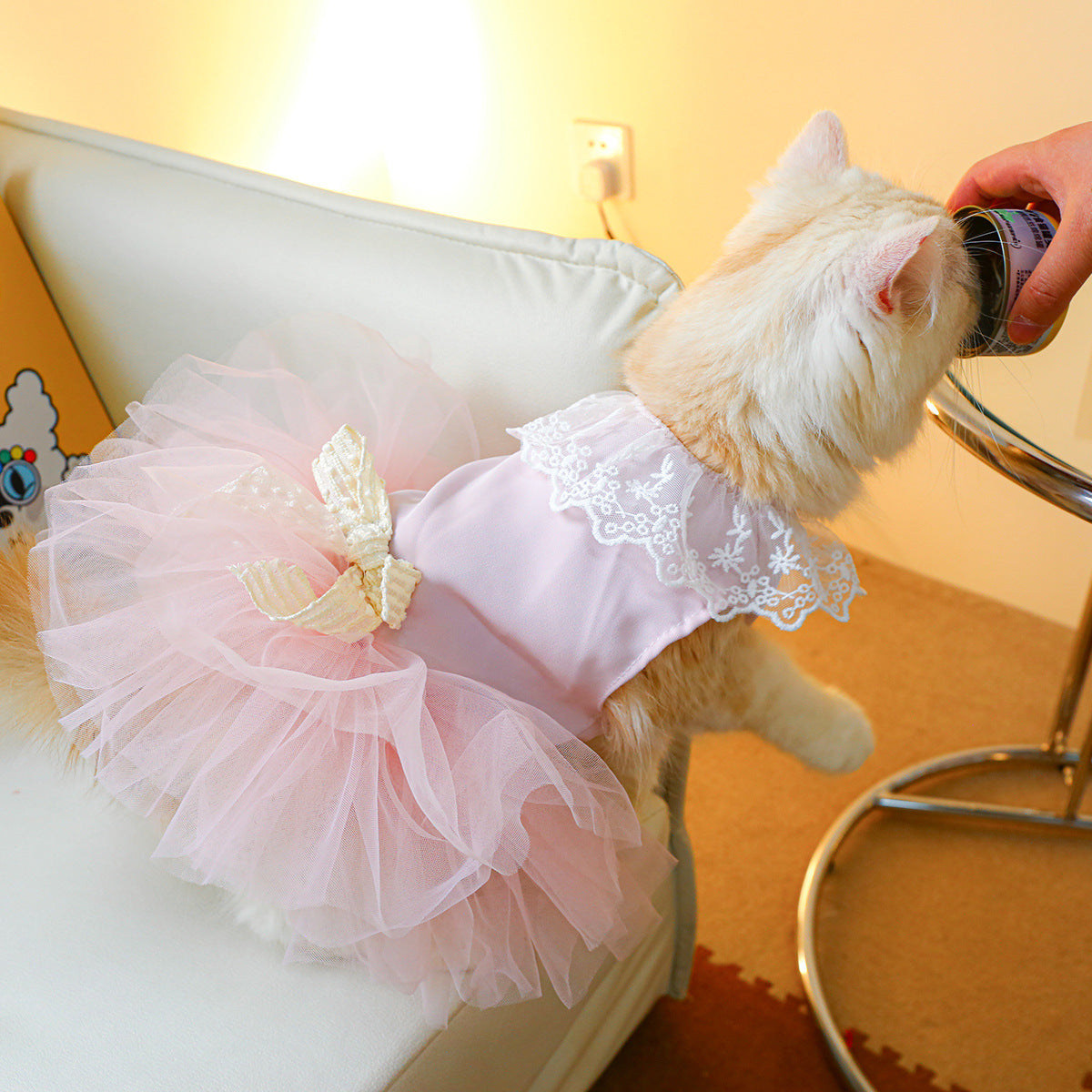 Pet Clothing Cat Clothes Lace Cat Dress