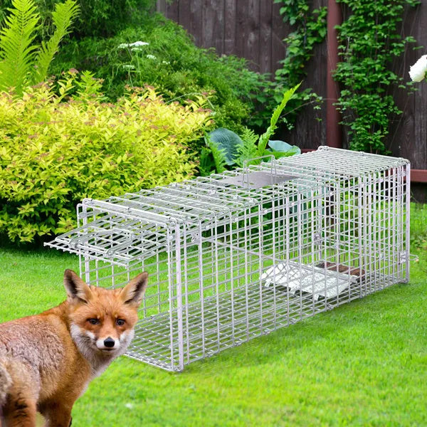 Live Animal Trap Cage 37x14x15in Folding Catch And Release Humane Cat Trap Galvanized Iron For Raccoons Foxes Coyotes Stray Dogs Armadillos Squirrels