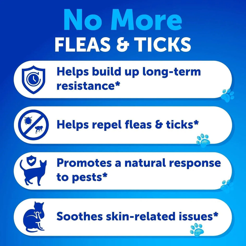 Natural Flea and Tick Treatment for Cats