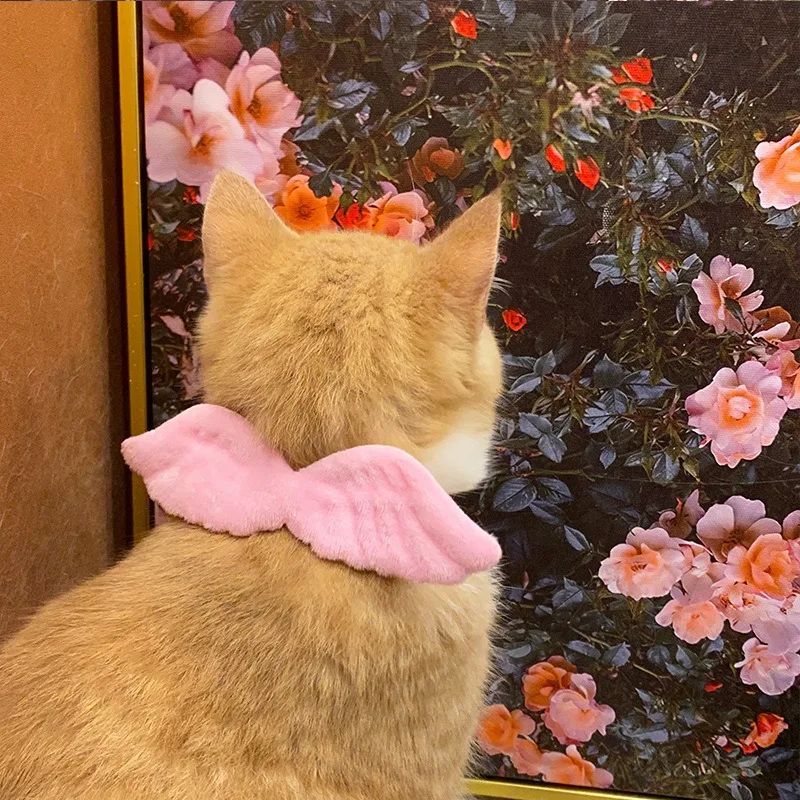 White Collar Angel Wing Neck Butterfly Tie