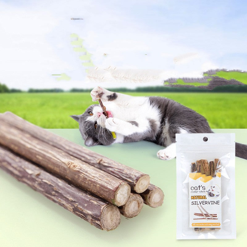 Cat Molar Rod Molar Teeth Cleaning