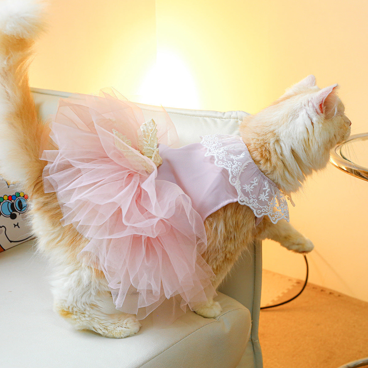 Pet Clothing Cat Clothes Lace Cat Dress