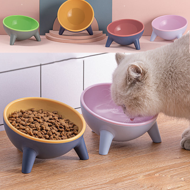 Pet Oblique Bowl with Stand