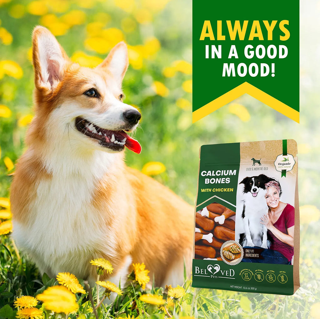 Dog Calcium Bones Wrapped Chicken & Rawhide Free Chew Treats, Grain Free Organic Meat Chews