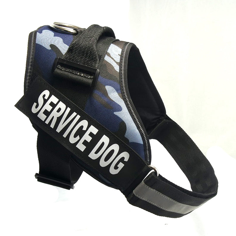 Chest Strap Harness