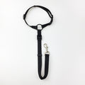 Pet Car Safety Leash Pet Car Safety Belt