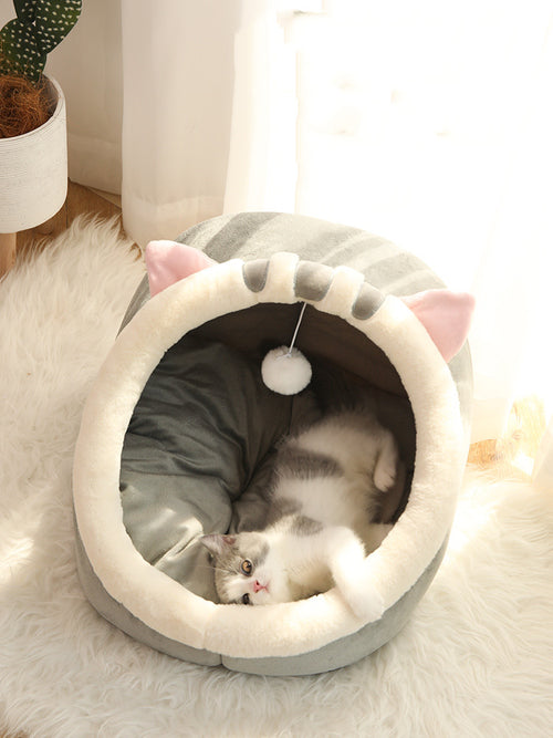 Cat Four Seasons Universal Villa Home