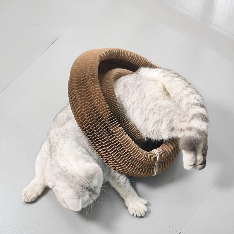 Cat Accordion Magic Scratching Board