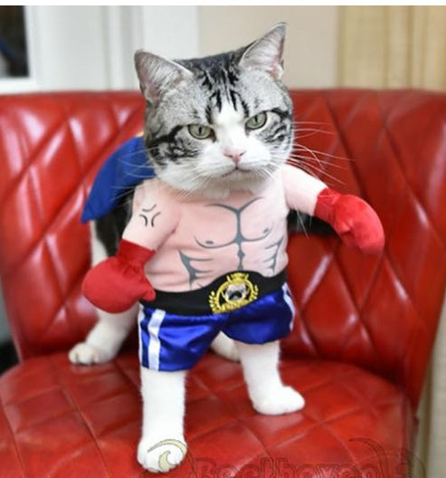 Boxer Cat Costume Pet Costume