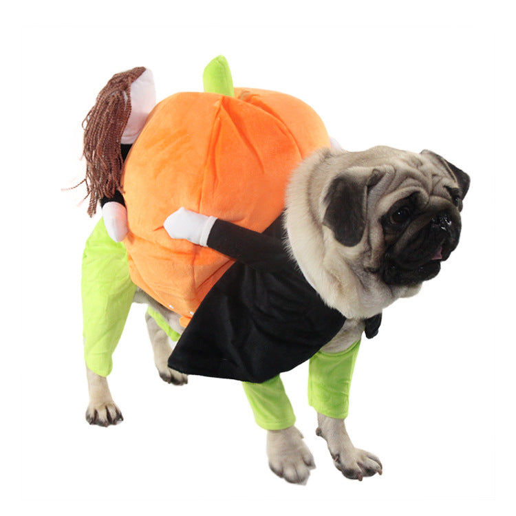 Halloween Pumpkin Pet Costume