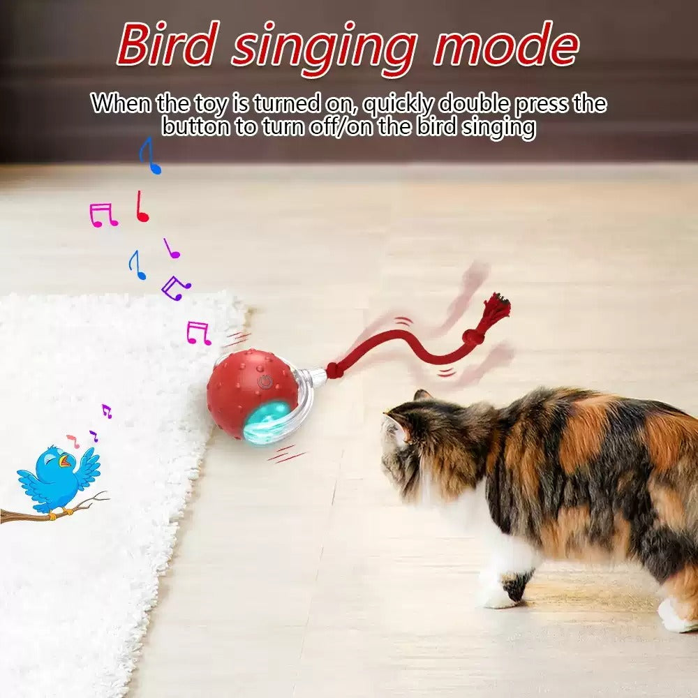 Interactive Cat Rolling Toy Ball
