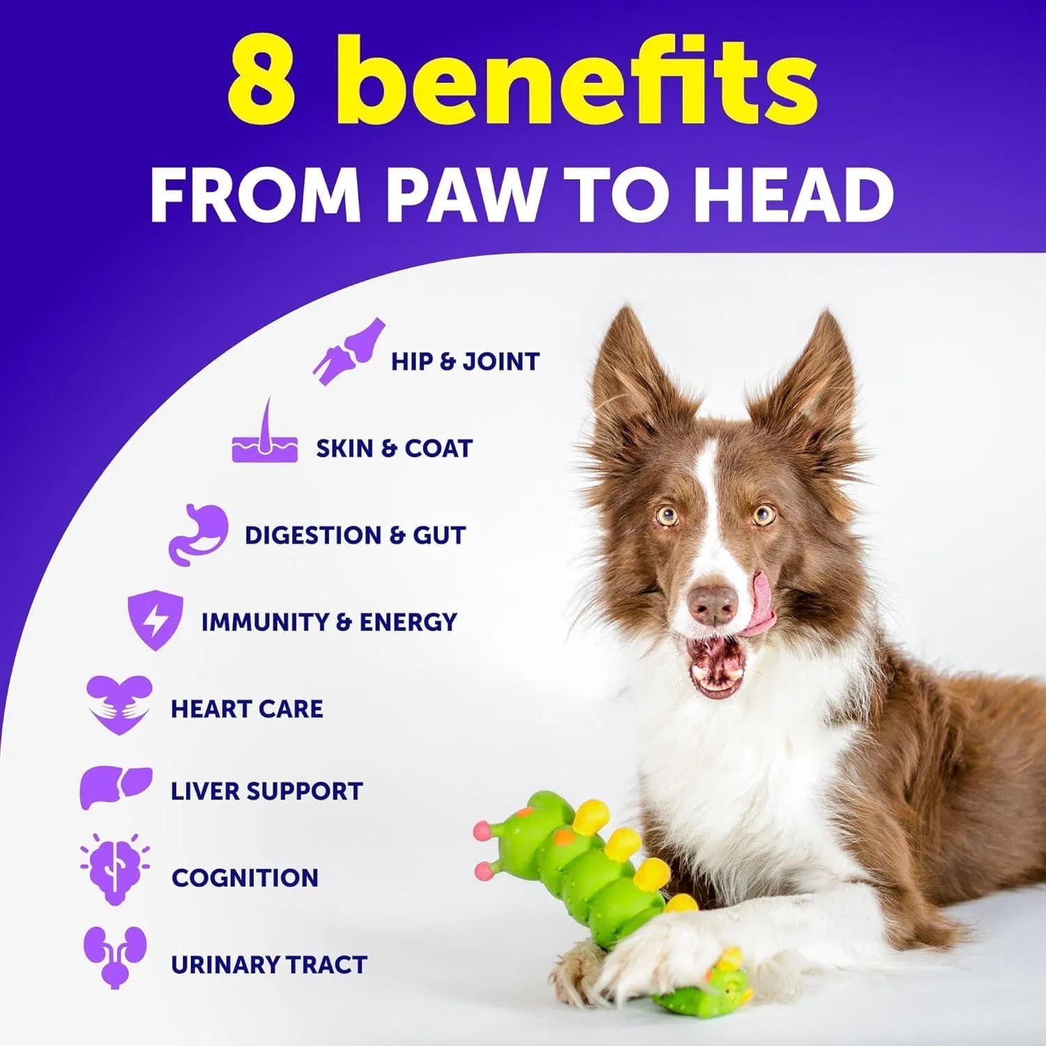 Dog Multivitamin Chewable With Glucosamine 20 In 1, Joint Support Health Immunity Mobility Gut Skin 120 Chews