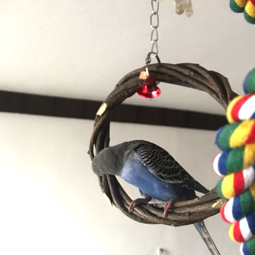 Bird Braided Applewood Perch