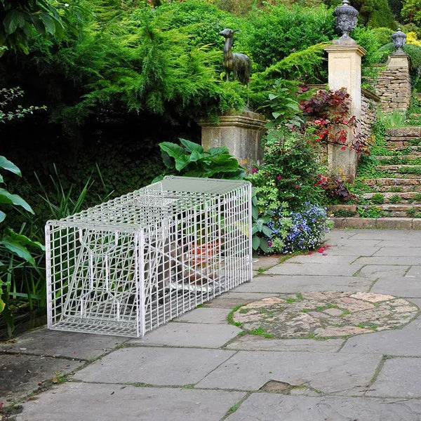 Live Animal Trap Cage 37x14x15in Folding Catch And Release Humane Cat Trap Galvanized Iron For Raccoons Foxes Coyotes Stray Dogs Armadillos Squirrels