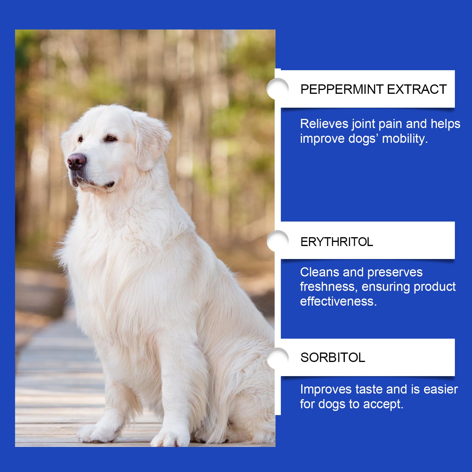 Dog Joint Supplements