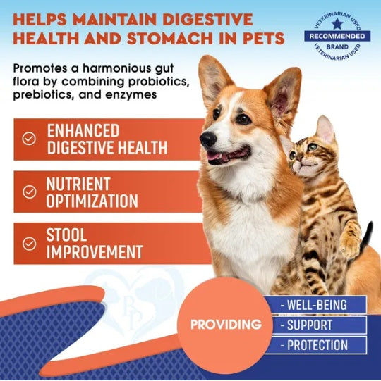 Probiotics & Prebiotics with Enzymes for Dogs and Cats