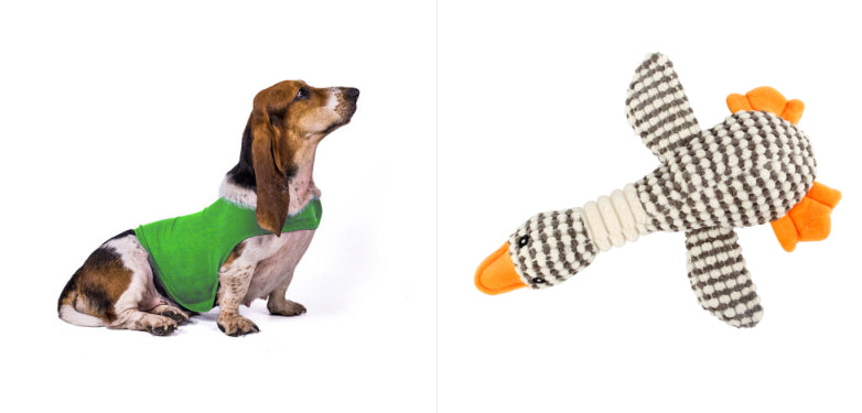 Anxiety Vest Summer Medical Treatment Jacket To Calm Down Dog Comfort Clothes