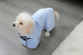 Quick-drying Absorbent Towel Pet  Bathrobe