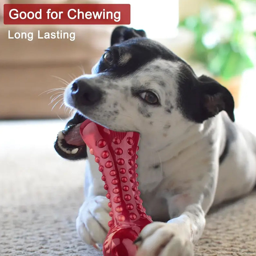 Durable Natural Rubber Dog Chew Toy