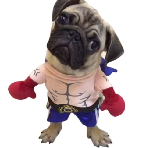 Boxer Cat Costume Pet Costume