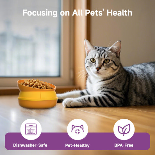 5 in 1 Multi-layer Hamburger Combination Pet Bowl