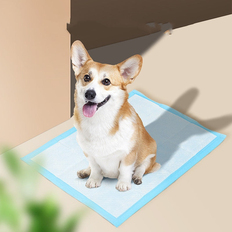 Pet Hygiene Absorbent Dog Pad Dog Diapers