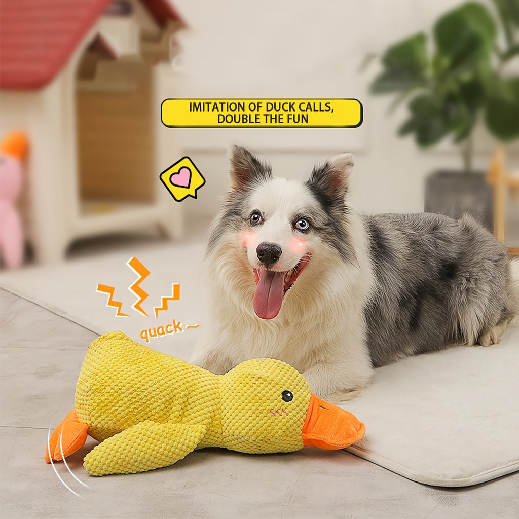 Dog Wrinkle Toy