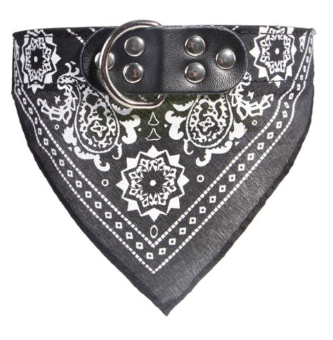 Pet lettering dog collar medium dog large dog neck collar