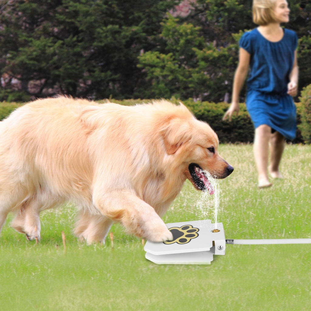 Dog Water Fountain Outdoor Dog Pet Water Dispenser Step-on Activated Sprinkler With Interactive Paw Pedal Valve For Drinking Water
