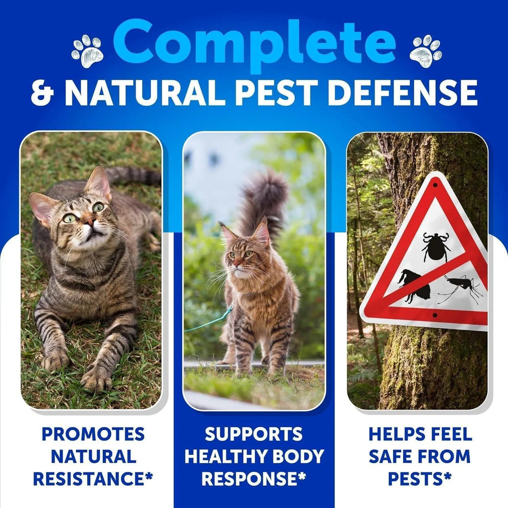 Flea Treatment For Cats Natural Flea And Tick Prevention Supplement For Cats Kittens Chew-able Daily Oral Pills With Vitamins 135 Soft Chews Skin & Coat Dental Treats Digestion