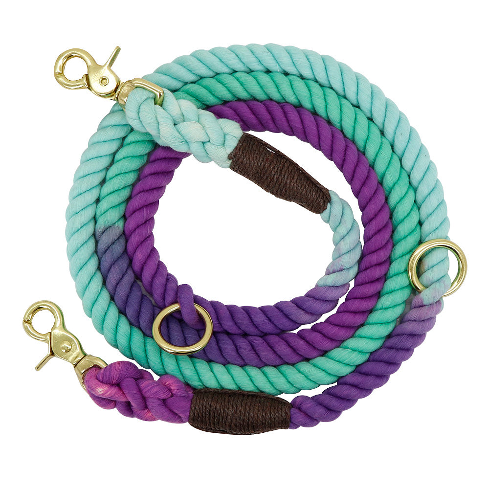 Gradient Color Dog Collars and  Leashes Pet Training Long Traction Rope
