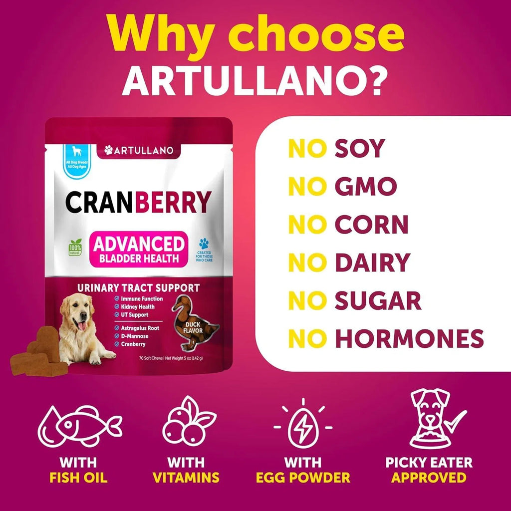 Dog UTI Treatment Cranberry Supplement