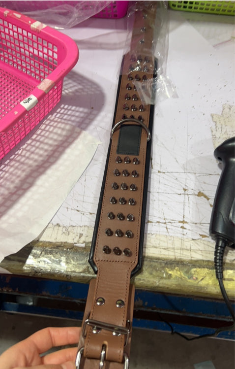 Leather Dog Collar with Spikes