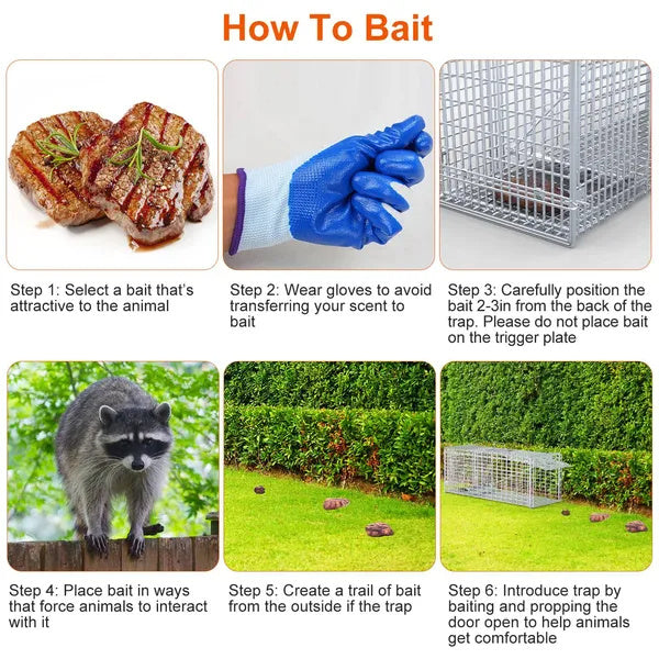 Live Animal Trap Cage 37x14x15in Folding Catch And Release Humane Cat Trap Galvanized Iron For Raccoons Foxes Coyotes Stray Dogs Armadillos Squirrels