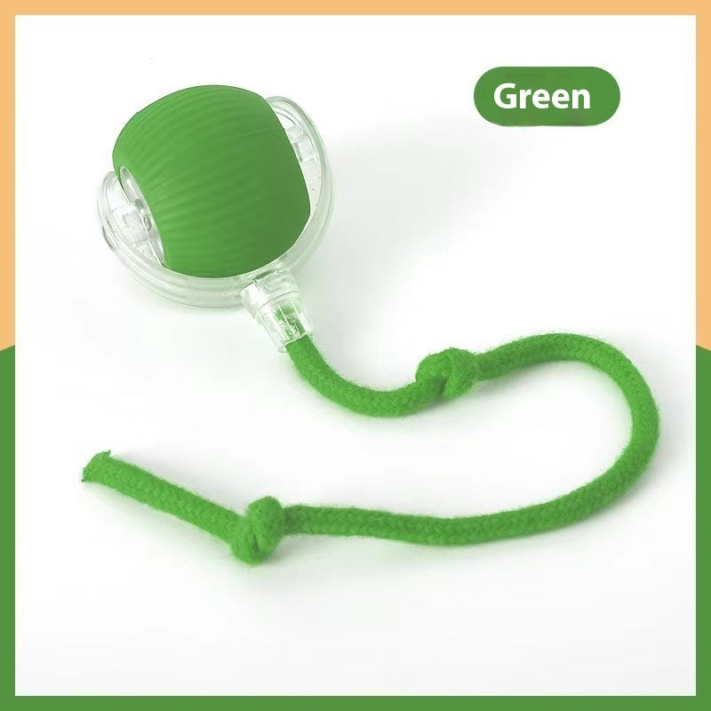 Smart Rolling Cat Toy