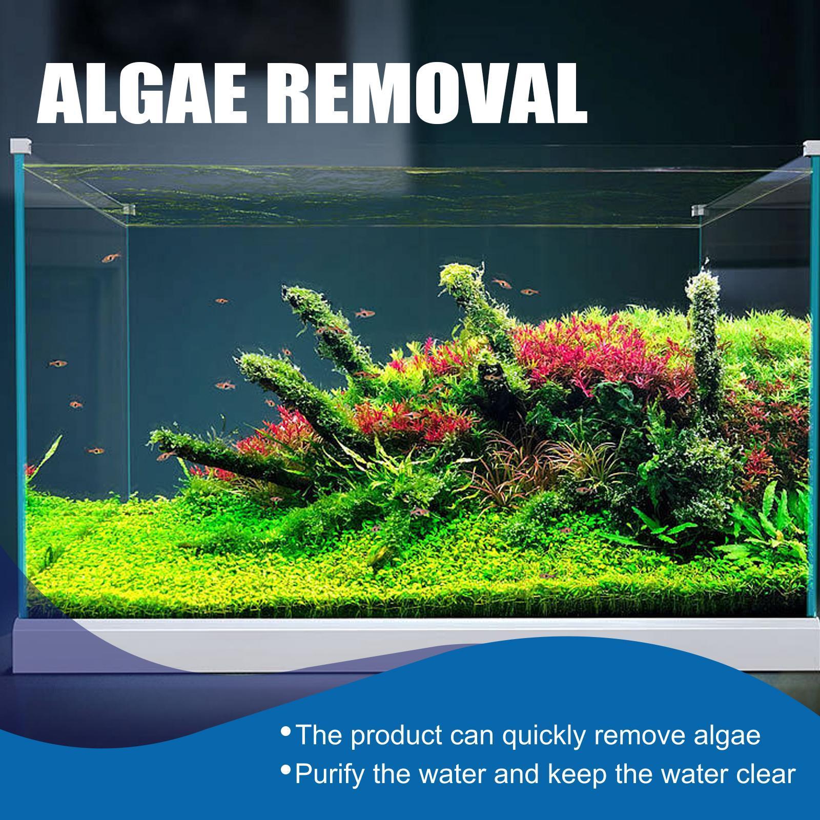 Igbondigal Lichen Fish Tank Cleaning Supplies Algaecide To Remove Moss And Green Water Algae