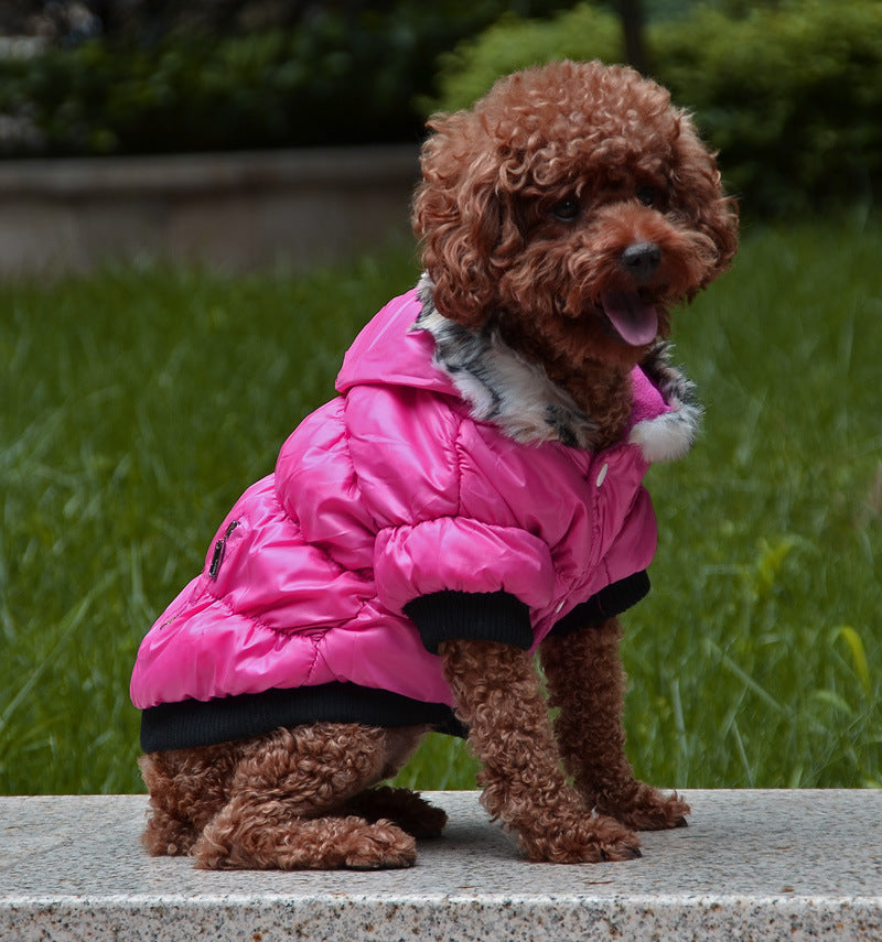 Zippered Cotton Padded Jacket For Pets