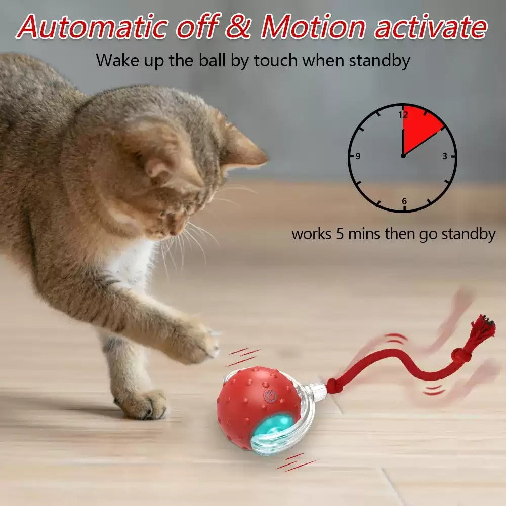Interactive Cat Rolling Toy Ball