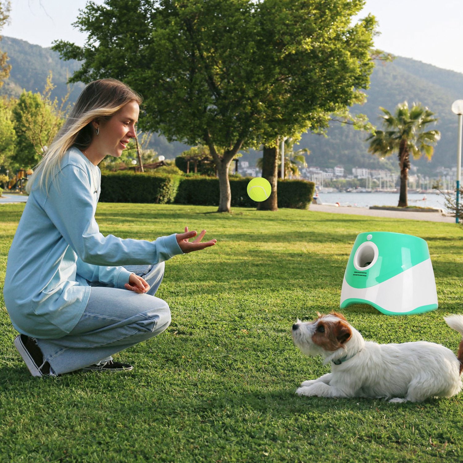 Automatic Dog Ball Launcher with Adjustable Distance (only ships inside USA)