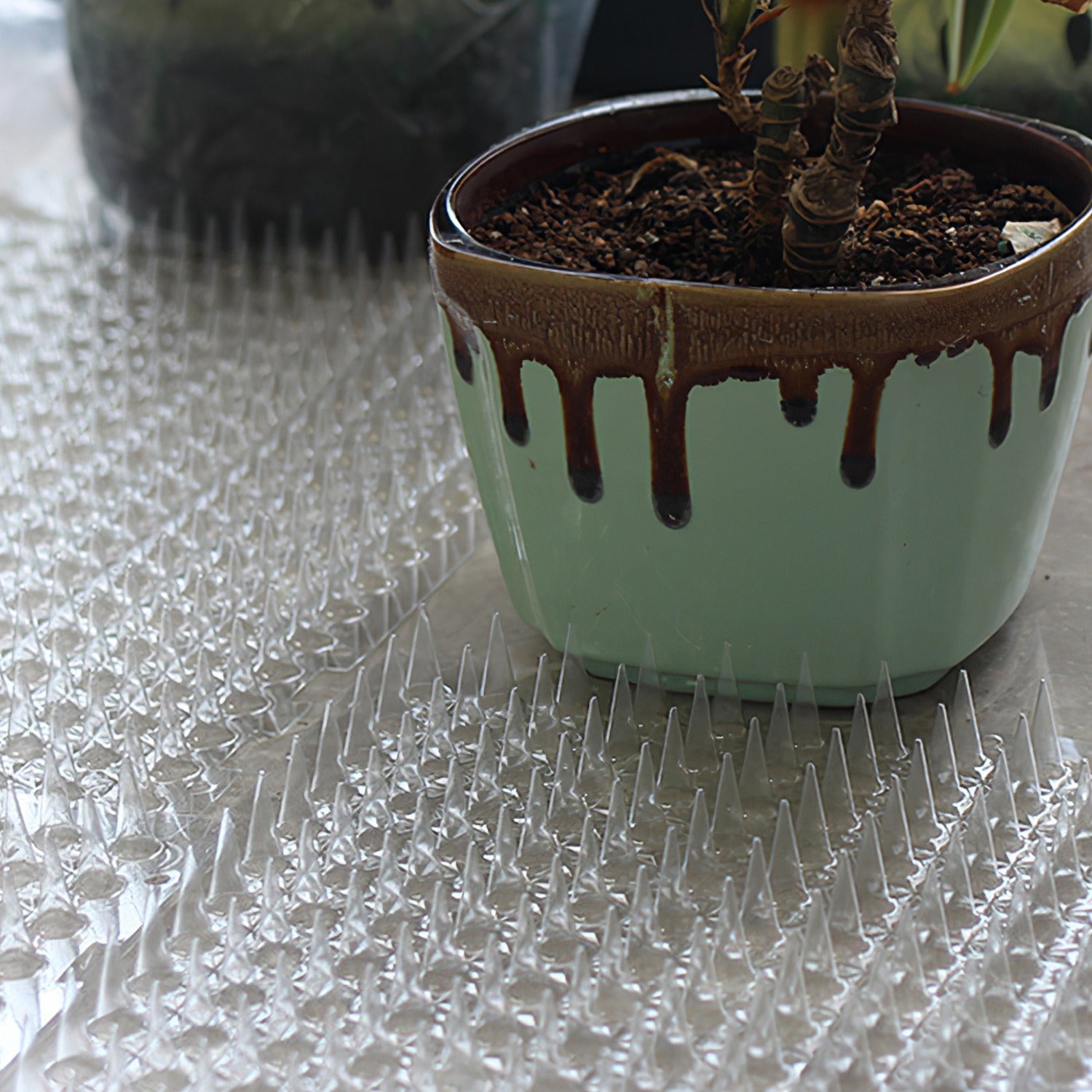 16Pcs Cat Deterrent Mats For Indoor Outdoor Use Keep Cats Dogs Away Pets 16x13in Deterrent Training Mats With Spikes 22x1FT Area