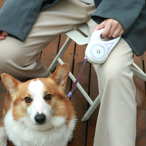 3M/5M Glowing Automatic Retractable Dog Rope Pet Leash