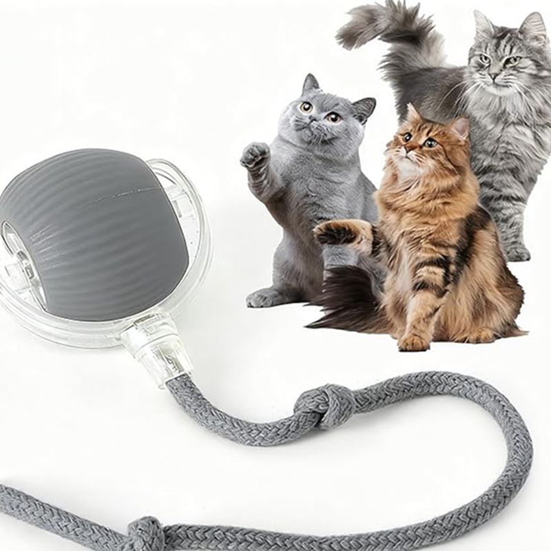 Smart Pet Rolling Ball with Teaser Sensor