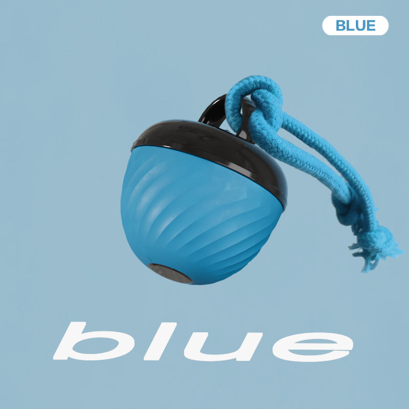 Interactive Moving Ball Pet Toy USB