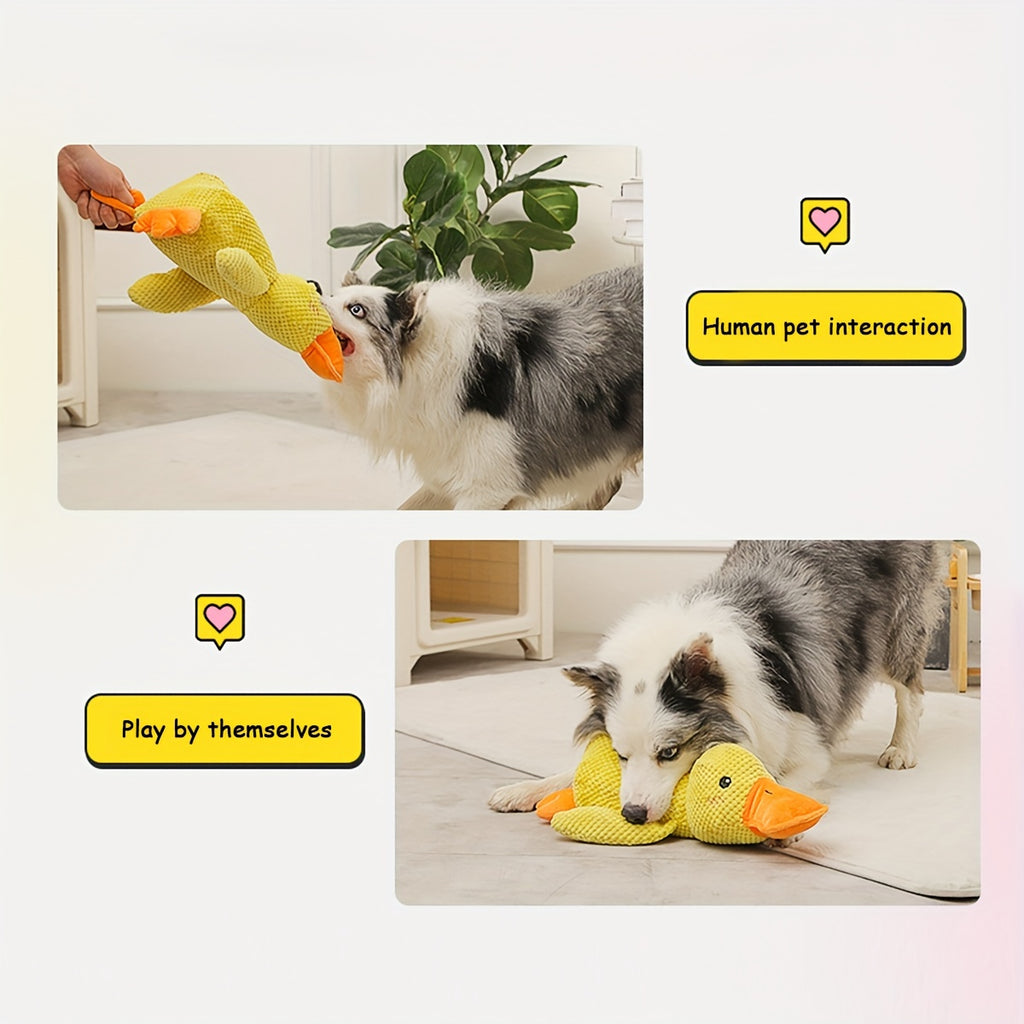Dog Wrinkle Toy
