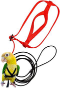 Parrot Harness with Flying Rope